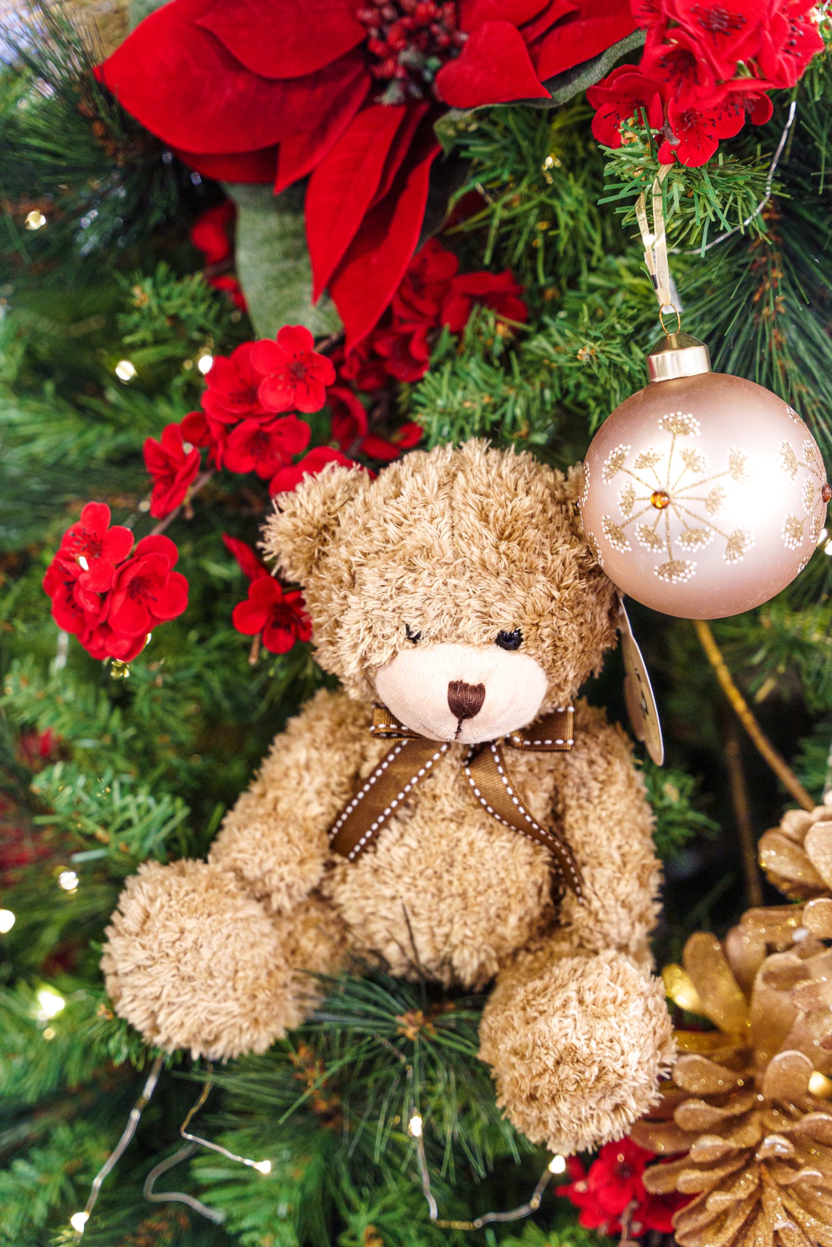 Sapin Noel Ourson Peluche Fleuriste Fleurazur Faverges Entreprise Scaled